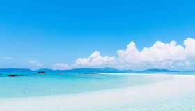 贝蒂斯队安东尼关键助攻破连败，曼联旧将独树一帜